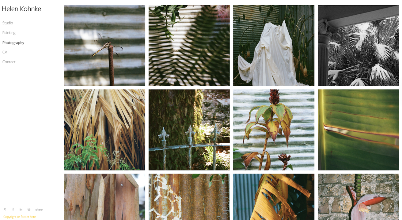 Helen Kohnke's Porch View, Palm, Truck photography