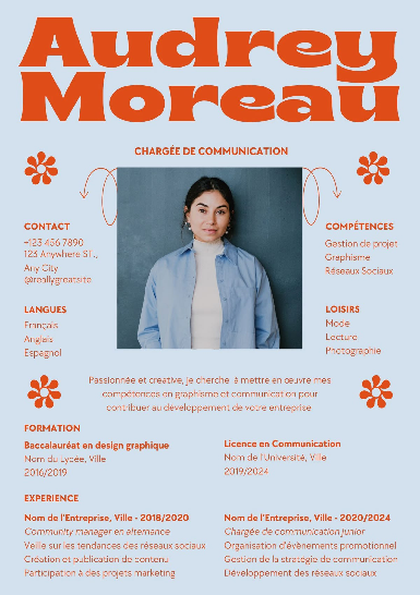 Communication Manager French Retro Inspired Design